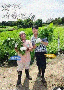 向往的生活